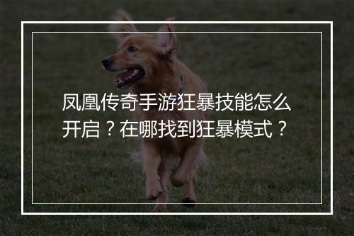 凤凰传奇手游狂暴技能怎么开启？在哪找到狂暴模式？