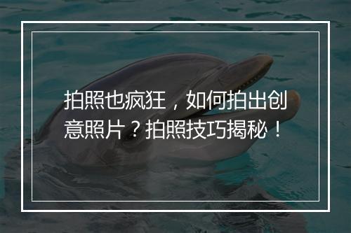 拍照也疯狂，如何拍出创意照片？拍照技巧揭秘！