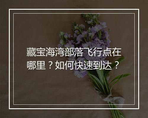 藏宝海湾部落飞行点在哪里？如何快速到达？