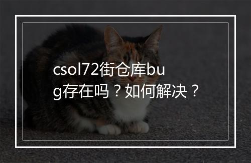 csol72街仓库bug存在吗？如何解决？
