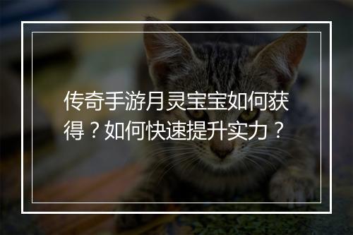 传奇手游月灵宝宝如何获得？如何快速提升实力？