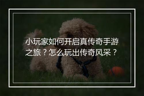 小玩家如何开启真传奇手游之旅？怎么玩出传奇风采？