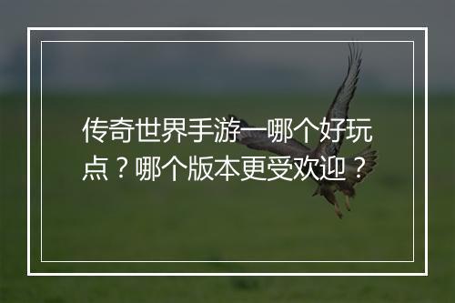 传奇世界手游一哪个好玩点？哪个版本更受欢迎？