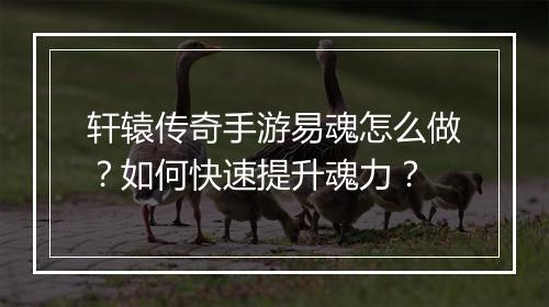 轩辕传奇手游易魂怎么做？如何快速提升魂力？
