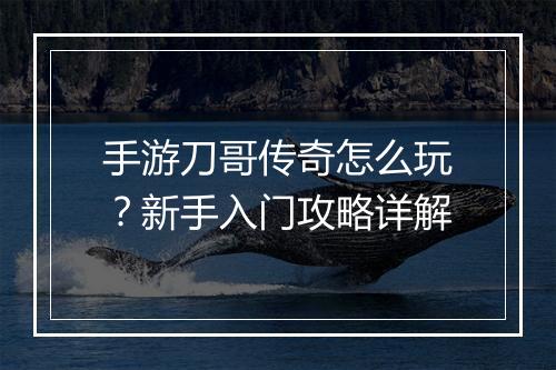 手游刀哥传奇怎么玩？新手入门攻略详解