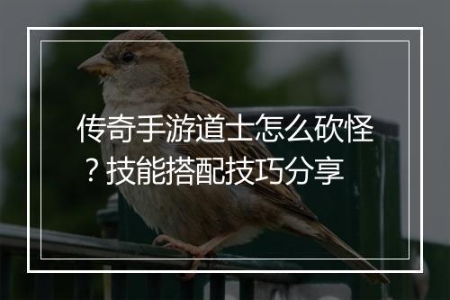 传奇手游道士怎么砍怪？技能搭配技巧分享