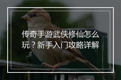 传奇手游武侠修仙怎么玩？新手入门攻略详解