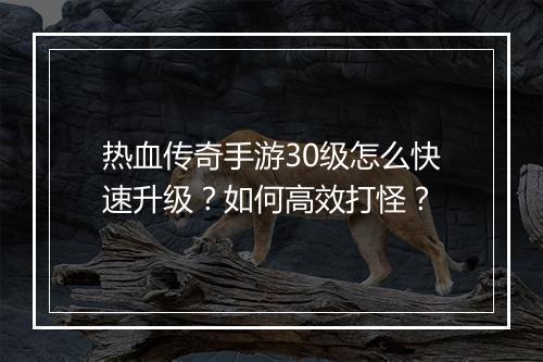热血传奇手游30级怎么快速升级？如何高效打怪？