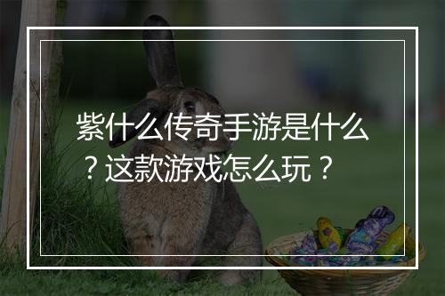 紫什么传奇手游是什么？这款游戏怎么玩？