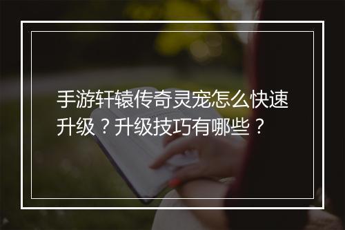 手游轩辕传奇灵宠怎么快速升级？升级技巧有哪些？