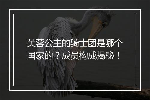芙蓉公主的骑士团是哪个国家的？成员构成揭秘！