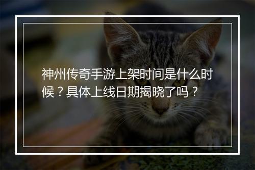 神州传奇手游上架时间是什么时候？具体上线日期揭晓了吗？