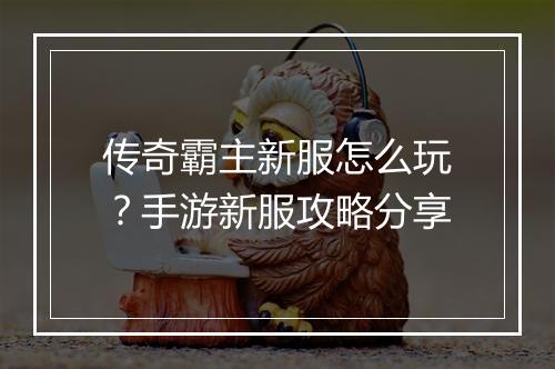 传奇霸主新服怎么玩？手游新服攻略分享