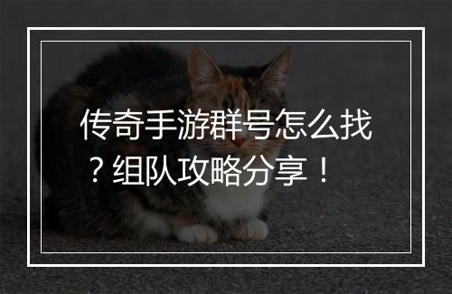 传奇手游群号怎么找？组队攻略分享！