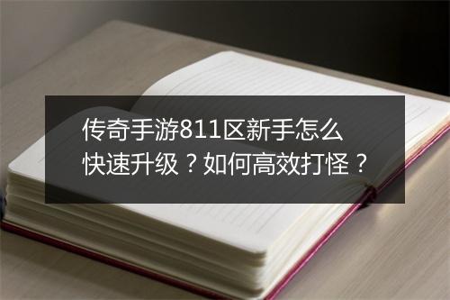 传奇手游811区新手怎么快速升级？如何高效打怪？