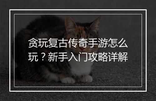 贪玩复古传奇手游怎么玩？新手入门攻略详解