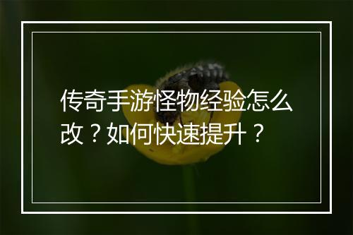 传奇手游怪物经验怎么改？如何快速提升？