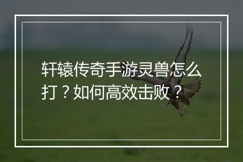 轩辕传奇手游灵兽怎么打？如何高效击败？