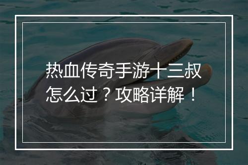 热血传奇手游十三叔怎么过？攻略详解！