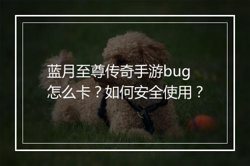 蓝月至尊传奇手游bug怎么卡？如何安全使用？