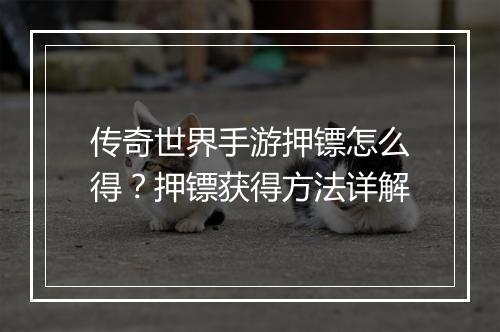 传奇世界手游押镖怎么得？押镖获得方法详解