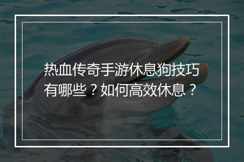 热血传奇手游休息狗技巧有哪些？如何高效休息？