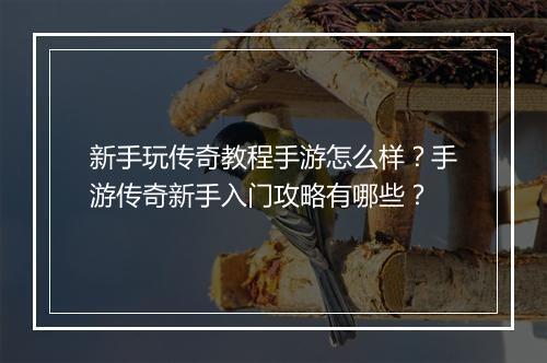 新手玩传奇教程手游怎么样？手游传奇新手入门攻略有哪些？