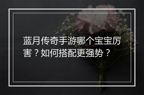 蓝月传奇手游哪个宝宝厉害？如何搭配更强势？