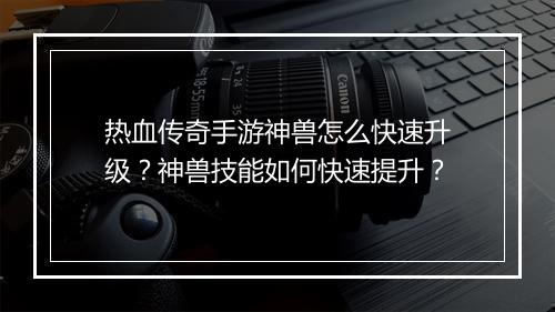 热血传奇手游神兽怎么快速升级？神兽技能如何快速提升？