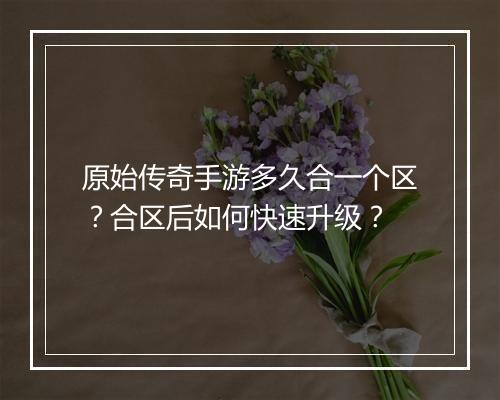 原始传奇手游多久合一个区？合区后如何快速升级？