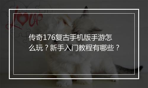 传奇176复古手机版手游怎么玩？新手入门教程有哪些？
