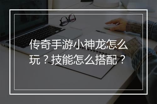 传奇手游小神龙怎么玩？技能怎么搭配？