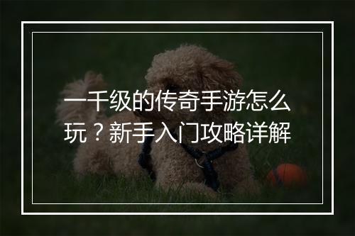 一千级的传奇手游怎么玩？新手入门攻略详解