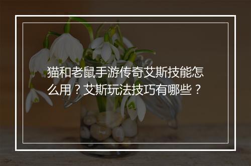 猫和老鼠手游传奇艾斯技能怎么用？艾斯玩法技巧有哪些？