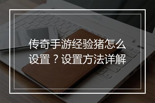 传奇手游经验猪怎么设置？设置方法详解