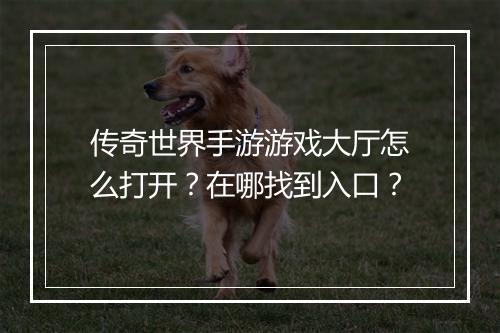 传奇世界手游游戏大厅怎么打开？在哪找到入口？