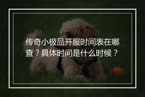 传奇小极品开服时间表在哪查？具体时间是什么时候？