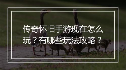 传奇怀旧手游现在怎么玩？有哪些玩法攻略？