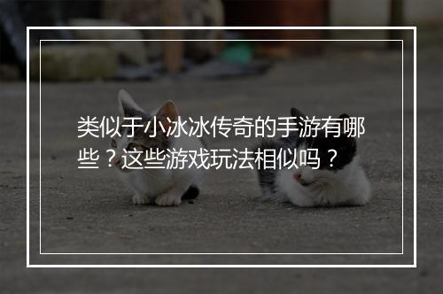 类似于小冰冰传奇的手游有哪些？这些游戏玩法相似吗？