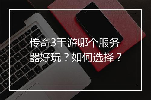 传奇3手游哪个服务器好玩？如何选择？