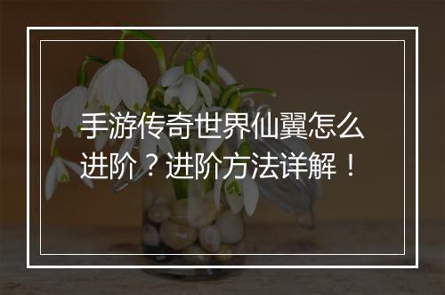 手游传奇世界仙翼怎么进阶？进阶方法详解！