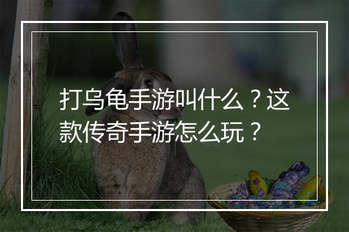 打乌龟手游叫什么？这款传奇手游怎么玩？