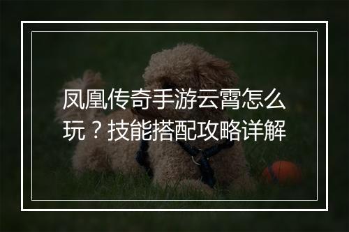 凤凰传奇手游云霄怎么玩？技能搭配攻略详解