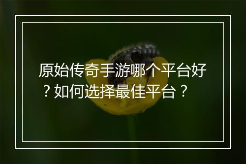 原始传奇手游哪个平台好？如何选择最佳平台？