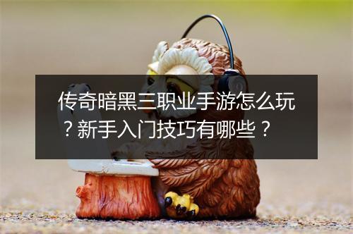 传奇暗黑三职业手游怎么玩？新手入门技巧有哪些？