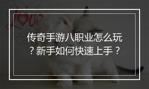 传奇手游八职业怎么玩？新手如何快速上手？