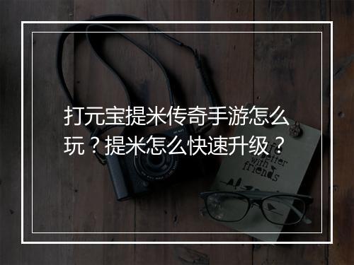 打元宝提米传奇手游怎么玩？提米怎么快速升级？