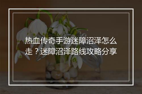 热血传奇手游迷障沼泽怎么走？迷障沼泽路线攻略分享