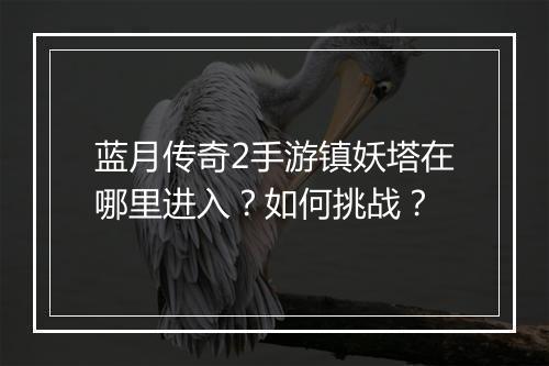 蓝月传奇2手游镇妖塔在哪里进入？如何挑战？