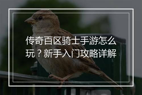 传奇百区骑士手游怎么玩？新手入门攻略详解